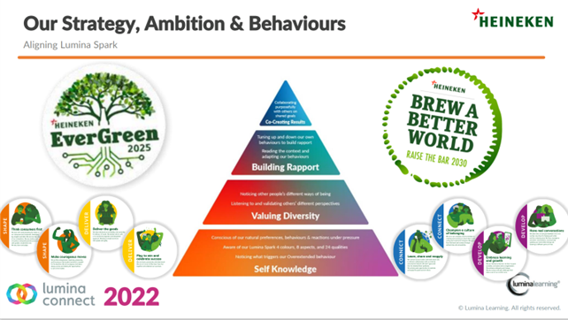 Heineken Business Need